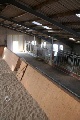 Reitanlage, Aurich, Niedersachsen