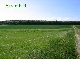 Ackerflche, Ansbach, Bayern